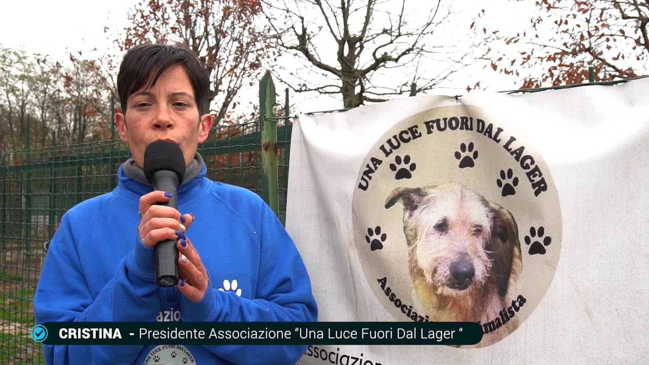 una luce fuori dal lager