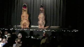 Clever boys T-Rex Evolution of Dance Music!  Funny School Talent Show