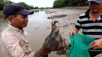 Đạp Tôm Tích Cách Bắt Kỳ Lạ Nhất Cần Giờ Chưa Ai Biết