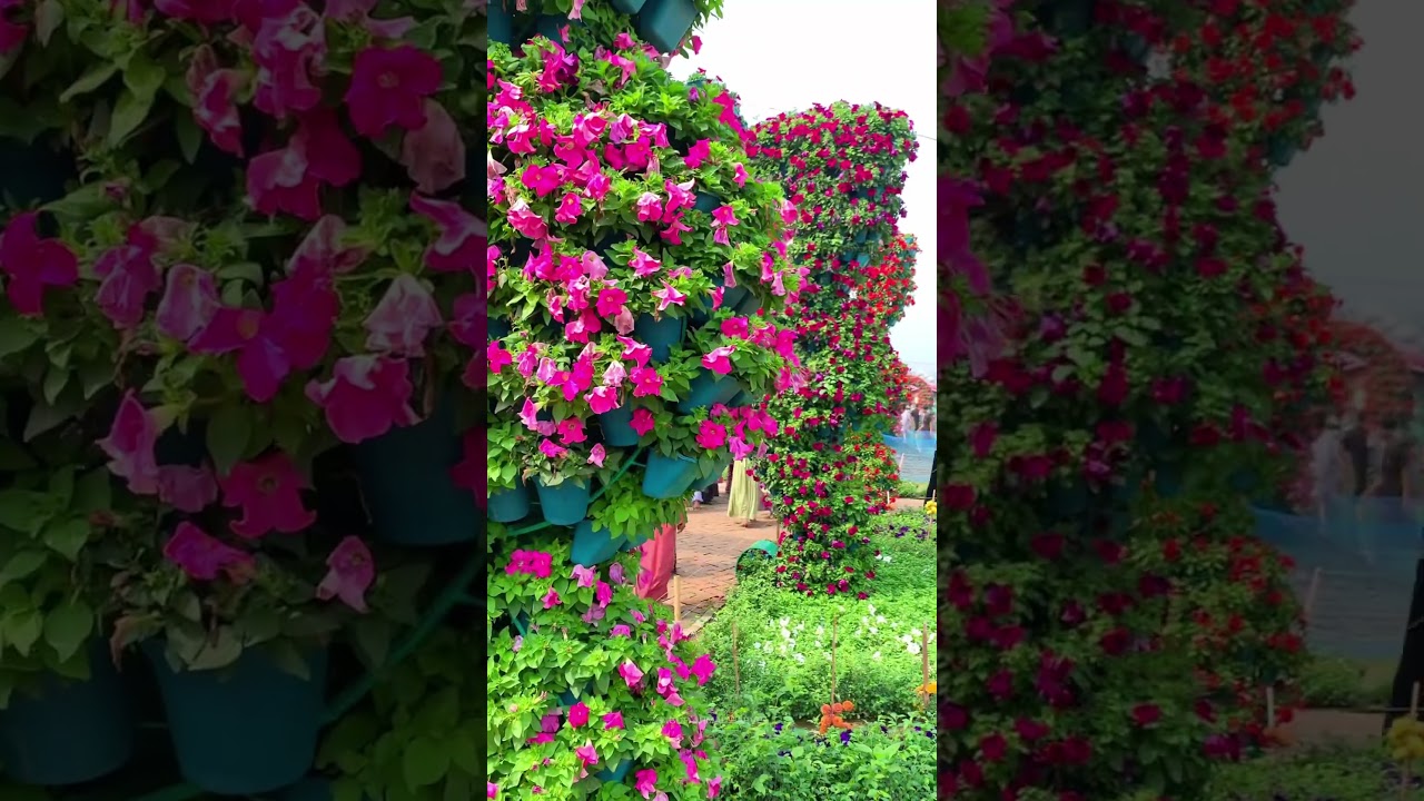 Bangladesh biggest  Flower City 