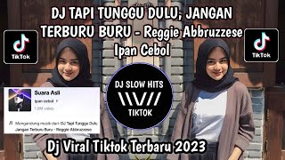 DJ TAPI TUNGGU DULU, JANGAN TERBURU BURU IPAN CEBOL VIRAL TIKTOK TERBARU