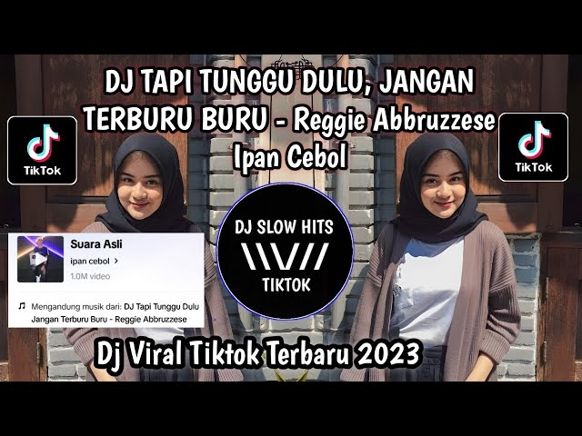 DJ TAPI TUNGGU DULU, JANGAN TERBURU BURU IPAN CEBOL VIRAL TIKTOK TERBARU class=