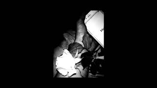 Ekso X Young Daniel - Róża