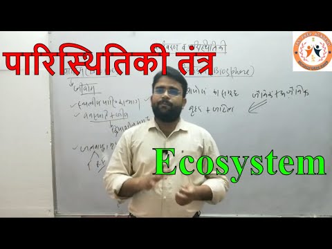 ENVIRONMENT AND ECOLOGY Lec-1 //पारिस्थितिकी तंत्र // Ecosystem //IAS PREP ACADEMY//UPPCS, RO ARO