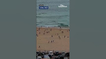 Surf camera in Australia shows beachgoers fleeing Bondi beach during shooting