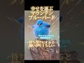 あなたの願いは何ですか?スピリチュアル 開運金運 #恋愛運 #聞くだけで #金運