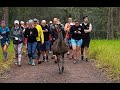 Meet &#39;Fluffy&#39; - the selfie-loving emu