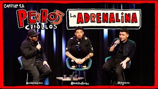 PERROS CRIOLLOS - LA ADRENALINA, CAP. 12