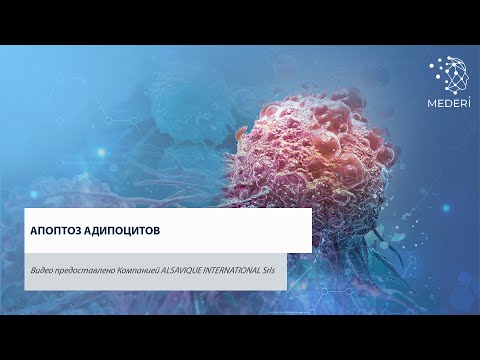 Апоптоз адипоцитов.
