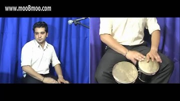 mooBmoo com Tumba E017