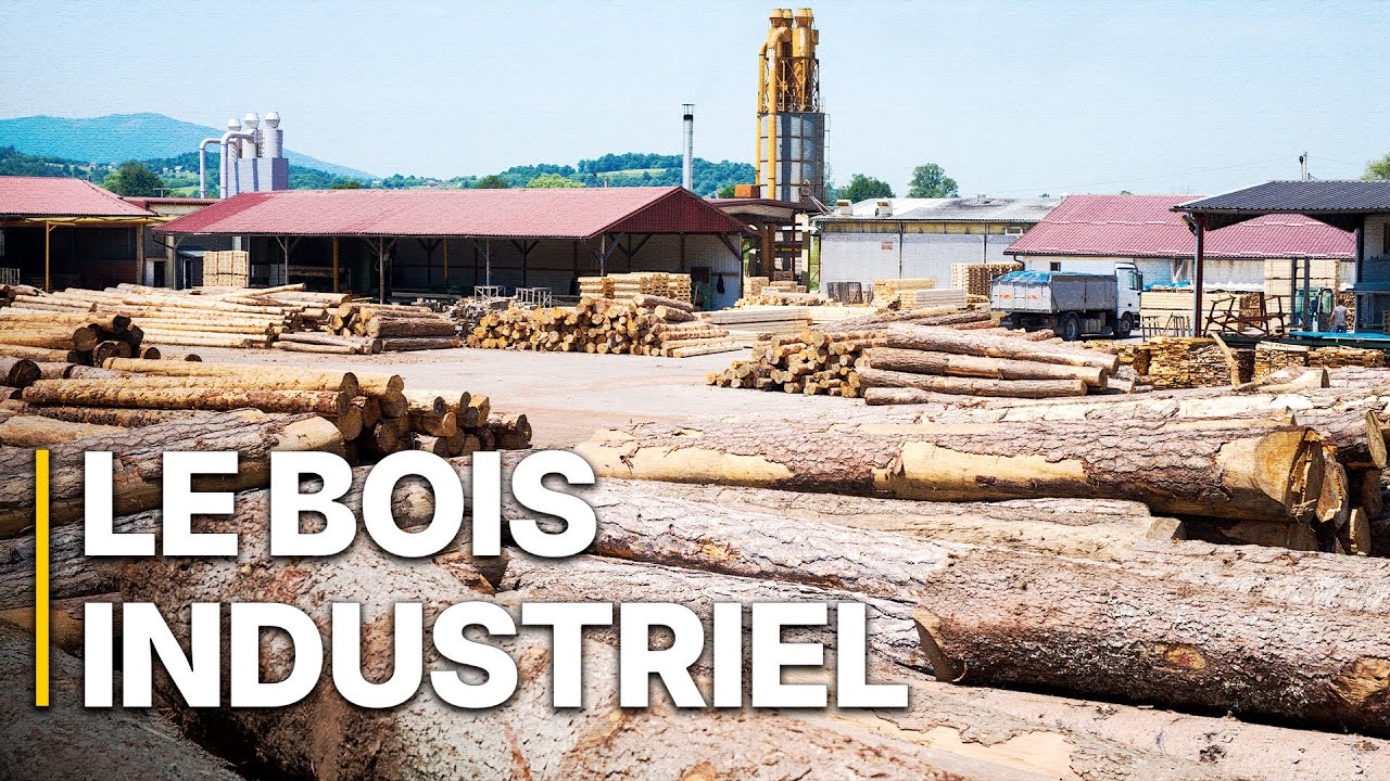 Le Temps Des Forets | Enquête sur une industrialisation silencieuse