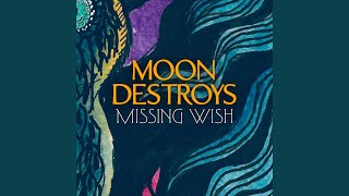 Missing Wish