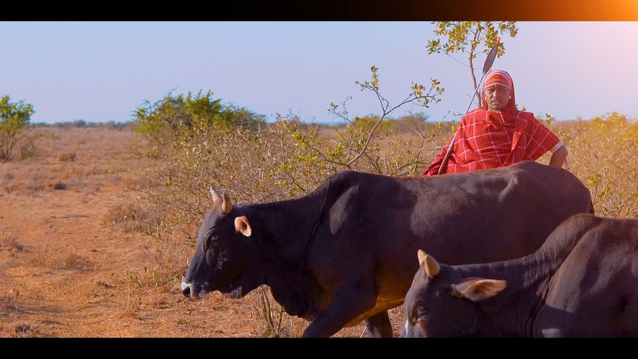 LKERETI - KING LAISO (OFFICIAL 4K VIDEO)