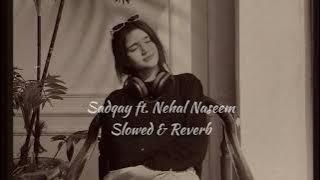 SADQAY ft. NEHAL NASEEM | Slowed & Reverb 🎧