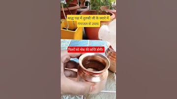 श्राद्ध पक्ष में करें ये उपाय। #shorts #upay #pradeepmishra #viral #trending #youtubeshorts #short