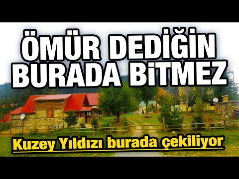 Burası cennetten bir köşe! Çambaşı Yaylası Taşbaşı Obası'na çıktık. Kuzey Yıldızı burada çekildi.