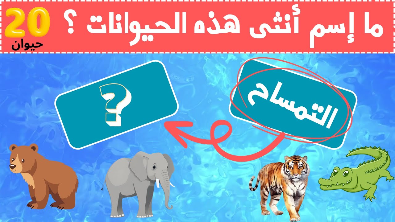 أسماء ذكور و اناث الحيوانات أول مرة تسمعها - YouTube