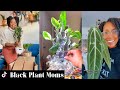 Black Plant Moms | Black Girl TikTok