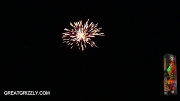 Quest Canister 24 Shells PREMIUM ART  SHELL W FIBERGLASS TUBES www  great grizzly  com