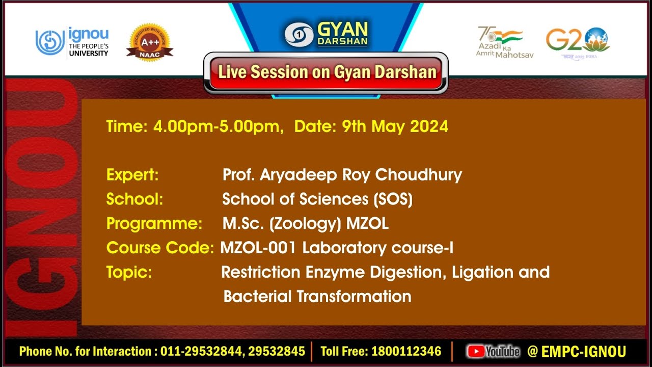 Restriction Enzyme Digestion, Ligation and Bacterial Transformation