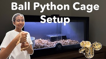How to Setup a Ball Python Enclosure | Animal Plastics - Wilbanks  Ball Python Enclosure Kit