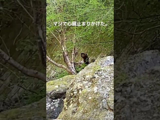 雨のムーンライト昭和町ブルースバンド