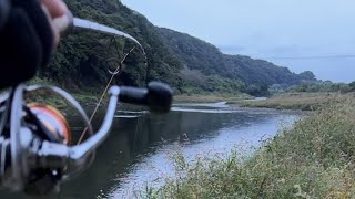 ひまつぶひーろーの配信のサムネイル画像