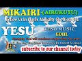 EDIIL BY MIKAIRI AIRUKUTU X BROWN SILVER 