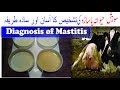 Mastitis Diagnosis at home, very simple tests.