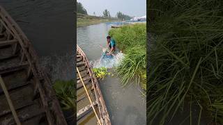 Unbelievable Net Fishing! You Won’t Believe This Catch 🐟