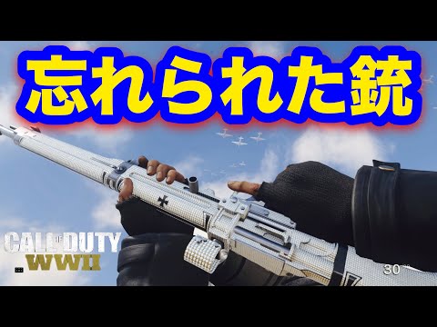覚えていますか？この銃を...【COD:WW2実況】