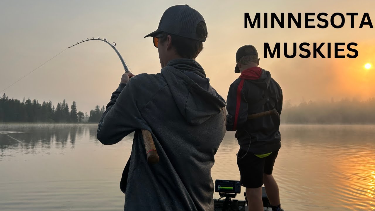 MINNESOTA MUSKY FISHING YouTube