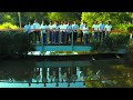 Msihukumu by SOUND OF GOSPEL CHOIR - RPC BRISBANE AUSTRALIA (Official 4K video) Gospel songs