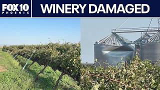 Arizona winery recovers after damaging storm, 88 mph winds | FOX 10 Phoenix