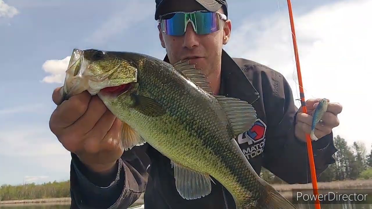 SwimBait Bass Fishing In Wisconsin #bassfishing