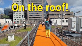Rotterdam Rooftop Walk 2022