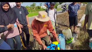 Gerdal OPT Padi Sawah Di Kecamatan Limboto
