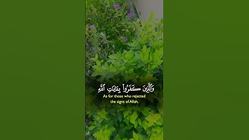 #اكسبلور #تلاوة_خاشعة #duet #حالة_وتساب #دويتو #قرآن_كريم_أرح_قلبك_وسمعك #baby #راحة_نفسية #cute #cu