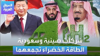 الأسواق العربية | شركات صينية وسعودية الطاقة الخضراء تجمعهما