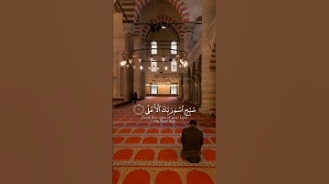 تلاوه نادره للقاري عبدالرحمن مسعد 🌺 سبح اسم ربك الأعلى 🕋🌺