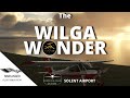 WILGA from Got Friends | PZL-104 35/80 | The Perfect Aircraft for Bush Pilots!