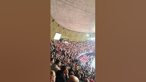 Delije sinoć u Minhenu | Bayern - Zvezda 02.03.2023.