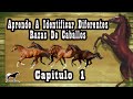 Como Saber Que Raza Es Un Caballo Con Solo Verlo (Capitulo 1) 🐴-Del Cerro Soy