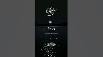 #القاري عبدالرحمن مسعد #سورة النمل #اكتب شي توجر عليه #beautiful quran #love