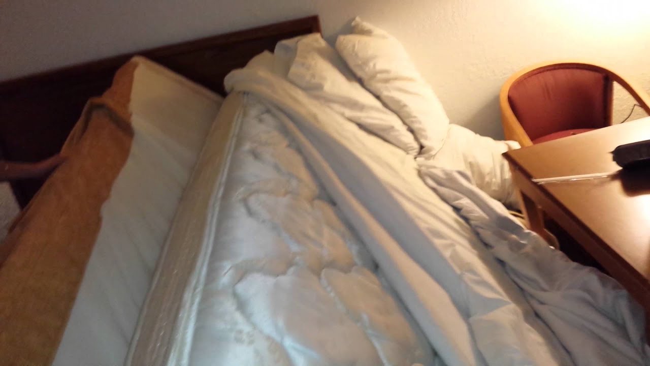 Days Inn Roaches and bed bugs. Hotel Review BEWARE YouTube