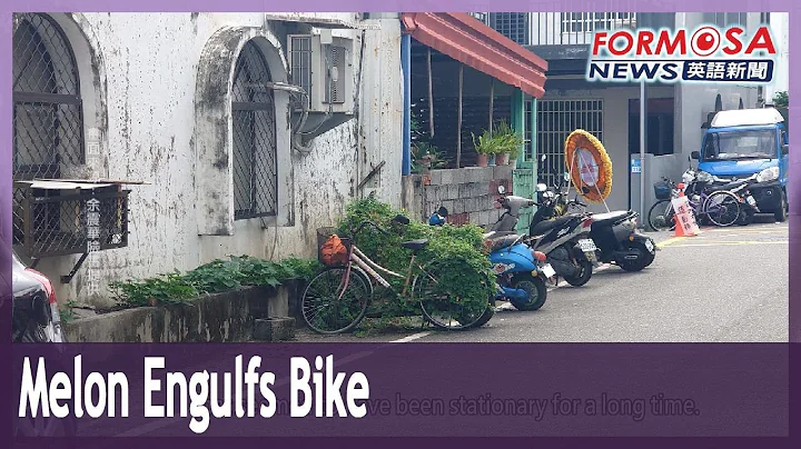 Internet captured by an image of a bike overgrown with a wild vine｜Taiwan News - DayDayNews
