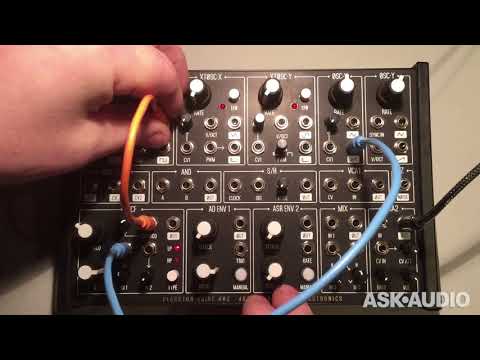 Plankton Electronics ANTS! Semi-Modular Analog Synth Review