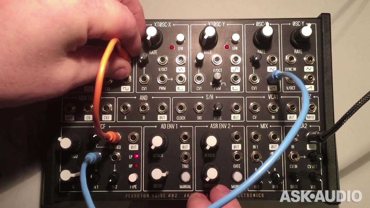 Plankton Electronics ANTS! Semi-Modular Analog Synth Review - YouTube