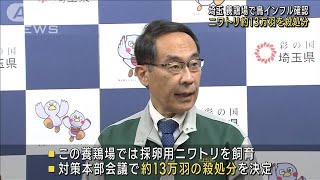 埼玉 養鶏場で鳥インフル　ニワトリ13万羽を殺処分(2022年12月30日)