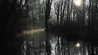 Morning Fog – Relaxing Piano Music | Soothing Stress Relief & Meditation screenshot 1